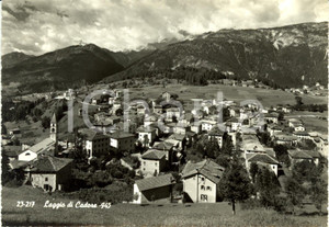 Cartolina originale da collezione 1962 LAGGIO DI CADORE BL Veduta panoramica del paese Cartolina FG VG 1